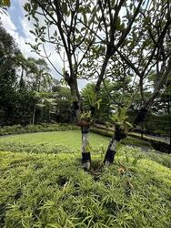 Toa Payoh Rise (D11), Detached #538007921